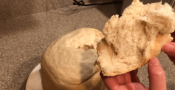 First Loaf in Hamilton Beach Bread Maker