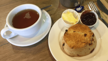 scone and tea at Lido Café and Bar